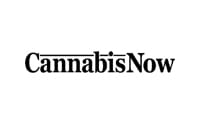 cannabis now