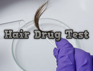 Learn How To Pass A Hair Drug Test.