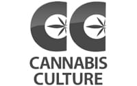 cannabis culture