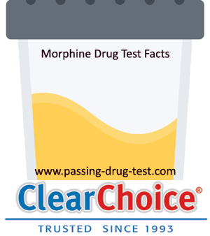morphine drug test
