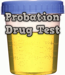 probation drug test sample